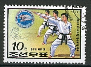 Judo6.jpg (27863 octets)