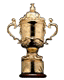 coupe_du_monde.gif (3243 octets)