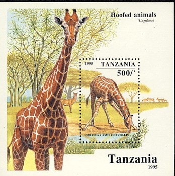 Tanzanie.jpg (57672 octets)