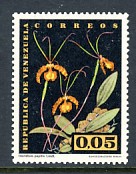 venezuela.jpg (15113 octets)