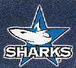 C189 Sharks.jpg (3638 octets)