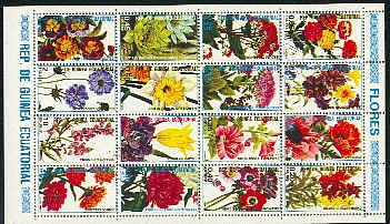 fleurs15.jpg (149843 octets)