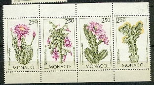 fleurs22.jpg (110984 octets)
